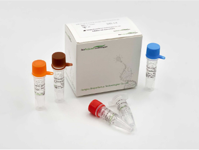 Influenza A and B Viruses Real Time PCR Kit