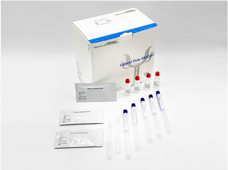 Influenza A&B Rapid Test Kit
