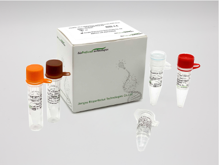 COVID-19 Coronavirus and Influenza A/B Virus Real Time PCR Kit