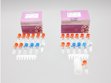 Human Papillomavirus Genotyping Real Time PCR Kit