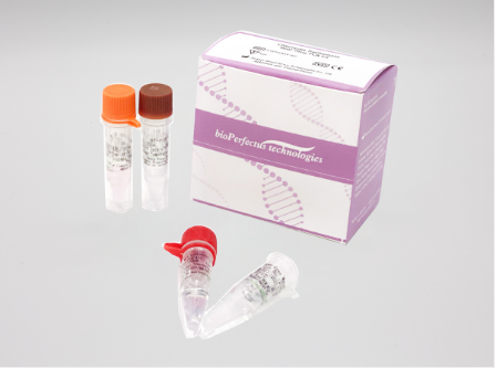 Chlamydia Trachomatis Real-Time PCR Kit