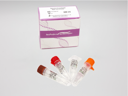 Neisseria Gonorrhoeae Real Time PCR Kit